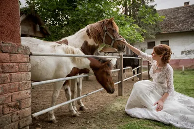 Свадьба на природе с лошадью | Свадьба, Счастливые пары, Невеста