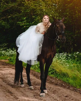 Заказ лошадей на свадьбу