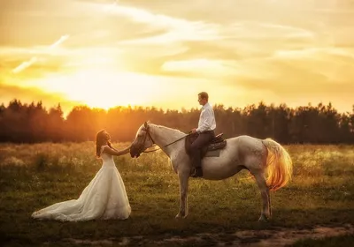 [71+] Свадебные фото на лошадях фото