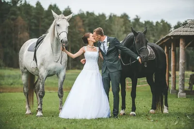 Свадебная фотосессия с лошадью | Фотосессия, Свадьба, Лошади