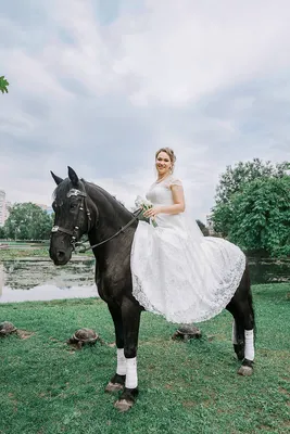 Статьи, Лошадь на свадьбе: ожидание vs реальность | Prokoni.ru
