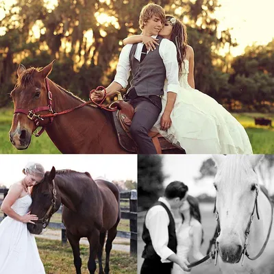 Позы для свадебной фотосессии | Свадебные позы, Лошадь свадьба, Свадебные  портреты