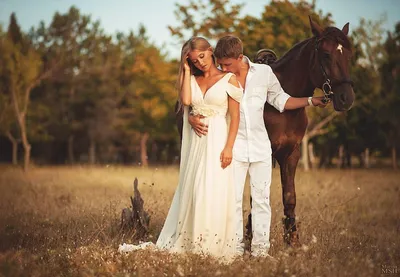 Фотогалерея свадебных фотографий с лошадьми