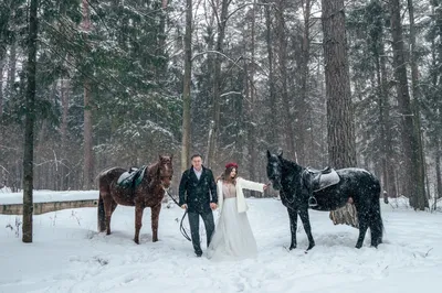 stallion, свадебная съемка с лошадьми, свадебная прогулка на лошадях,  свадебный фотограф, свадебная конная прогулка, свадебные фотографии,  Свадебный фотограф Москва