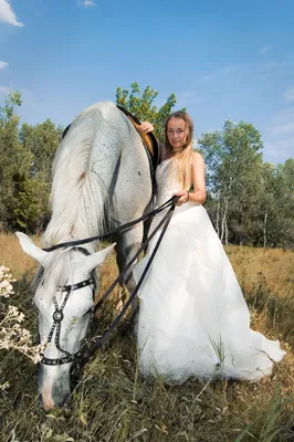 Лошадь Свадебное Платье Поле - Бесплатное фото на Pixabay - Pixabay