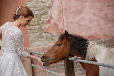 Необычный свадебный кортеж на лошадях сняли на видео в Алматы