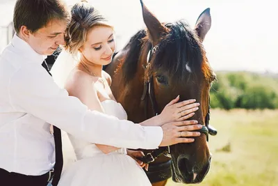 свадьба с лошадьми, фотосессия с лошадьми, свадебная фотосессия с лошадьми,  фотосессия пары с лошадьми, свадебная фотосессия - The-wedding.ru