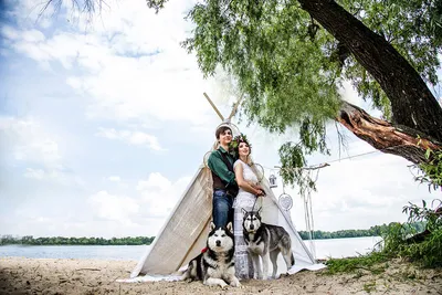 Бесплатное изображение: Лабрадор, золотой блеск, собака, Свадьба, свадебное  платье, Охотничья собака, ретривер, щенок, домашнее животное, мило