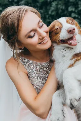 Студийная фотосессия с собаками. Екатерина Бакурова — свадебный и женский  фотограф в Краснодаре