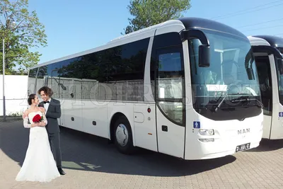 Автобус на свадьбу в СПб | Аренда свадебного транспорта от AUTOPROJECT