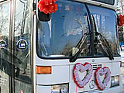 Автобус на свадьбу с водителем - аренда в Екатеринбурге ‐ Автобустранс