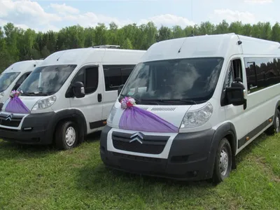 Аренда автобуса на свадьбу. Арендовать свадебный автобус с водителем в  Москве.