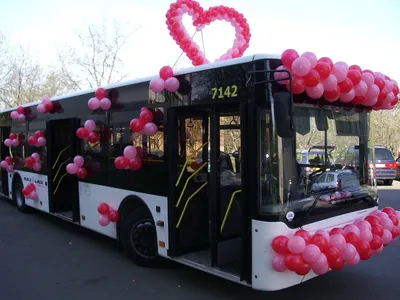 Аренда автобуса на свадьбу в Москве от 1400 рублей/час