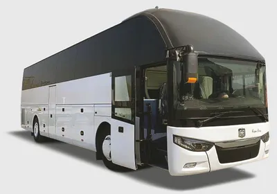 Заказать автобус на свадьбу в Москве, прокат микроавтобуса на свадьбу  недорого — Портал «Свадебный вальс»