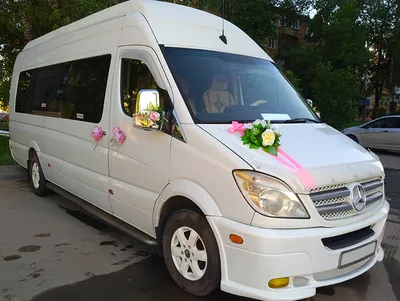 Аренда больших свадебных автобусов