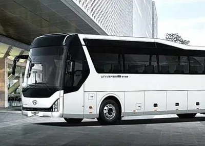Аренда автобуса с водителем на свадьбу. Арендовать автобус на свадьбу в  Москве.
