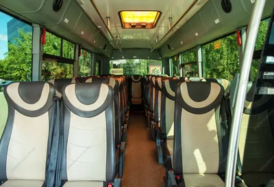 Автобус на свадьбу в Новосибирске: аренда, стоимость трансфера ‐ Автобус54