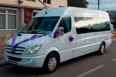 Прокат автобуса на свадьбу 43 места, Автобус Део (Daewoo) 45 мест, на  свадьбу Красноярск