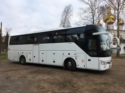 Аренда автобуса с водителем на свадьбу в Москве, цена от 1000 р/ч