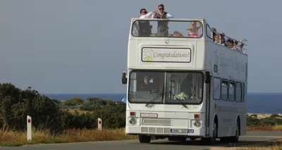 Свадебный автобус - Royal Park