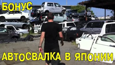 Кладбища автомобилей - последние новости из мира авто: Autonews.ru
