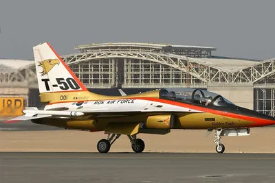 Южная Корея и США усовершенствуют учебный самолет Т-50 - Газета.Ru | Новости