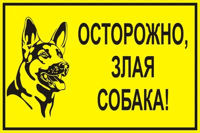 Табличка «Осторожно! Злая собака» по цене 165 ₽/шт. купить в Калуге в  интернет-магазине Леруа Мерлен