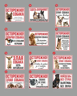 VS 14-01 Осторожно! Злая собака - купить в интернет-магазине kvadi.ru