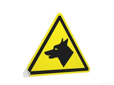 Купить Табличка \"Осторожно злая собака\" по привлекательной цене с быстрой  доставкой по России
