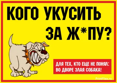 Табличка Осторожно! Злая собака, 30 см, 20 см - купить в интернет-магазине  OZON по выгодной цене (265153665)