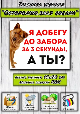 Декор Наклейкин/Табличка информационная, знак злая собака милый пес, 20 см,  14 см - купить в интернет-магазине OZON по выгодной цене (951692953)