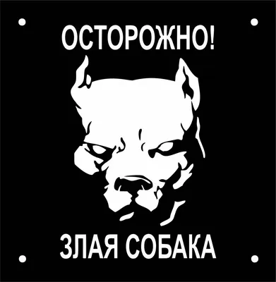 Табличка \"Осторожно злая собака\" купить в интернет-магазине Ярмарка  Мастеров по цене 2500 ₽ – 4MTZ5BY | Картины, Калуга - доставка по России