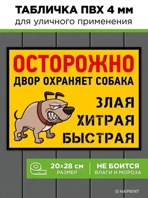 Табличка на дом Осторожно злая собака во дворе, 20 см, 15 см - купить в  интернет-магазине OZON по выгодной цене (832517475)