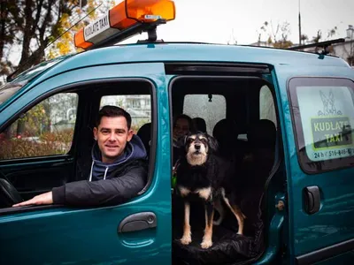 У минских собак появилось свое такси - Российская газета