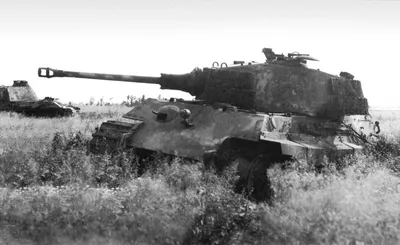 Житель Самары продает копию немецкого танка Т-6 \"Тигр\" за 7 млн рублей -  Фотогалерея // Сусанин