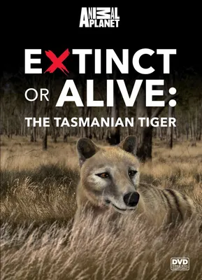 Remains of last Tasmanian tiger unearthed after being lost for 85 years -  National | Globalnews.ca