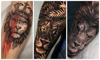 Немейский лев, татуировка на ноге. Сделать тату у мастера Вики салон  PlayPain.