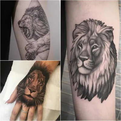 Тату лев (310 фото) - значение татуировки, эскизы 2024