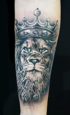 Татуировка мужская графика на предплечье лев с короной - мастер Слава Tech  Lunatic 5139 | Art of Pain