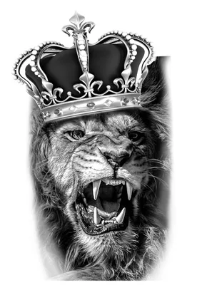 Полный джентльменский набор. Тату лев с короной!🦁⚜️ . ⏱3,5 часа работы .  Мастер Алексей✨ ...студия “TattooMos… | Tatuagem masculina antebraço,  Tatuagem, Tatuagens
