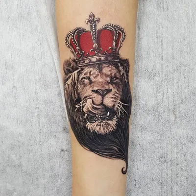 Фото парная тату лев и львица сделать в тату салоне в Москве по низкой цене