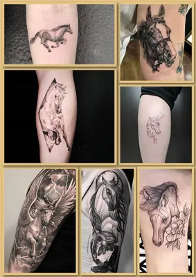 Тату лошадь, пони или конь отлично выполняют в тату студии Маруха – эскизы  татуировок с лошадью мужчинам и женщинам