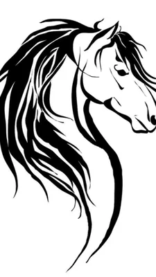 Татуировка женская графика на спине лошадь - мастер Мария Бородина  (Челнокова) 6673 | Art of Pain