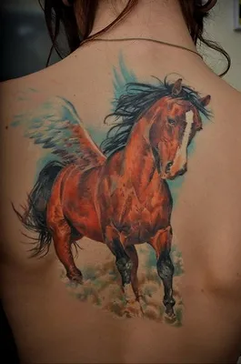 Фото тату лошадь: коллекция рисунков готовых тату, значение, эскизы, факты