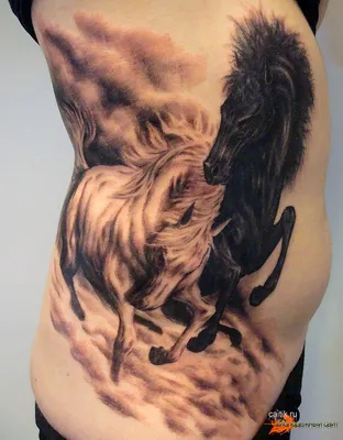 фото тату лошадь 24.12.2018 №130 - photo horse tattoo - tattoo-photo.ru -  tattoo-photo.ru