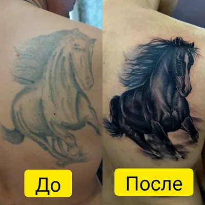 Тату лошадь на предплечье - фото салона Tattoo Times, узнай цену на сайте.