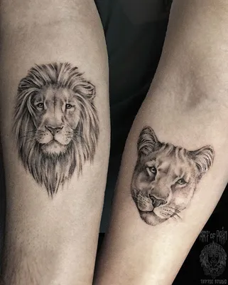 Тату лев, lion tattoo