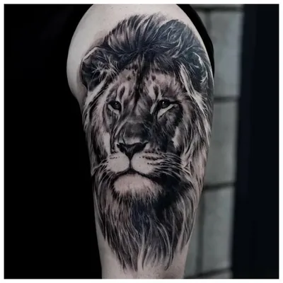 Цветная татуировка льва на плече …» — создано в Шедевруме