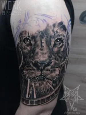 Татуировки льва на плече мужские: высокое качество и креативный дизайн -  tattopic.ru