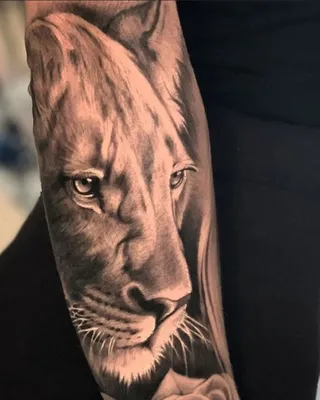 Татуировка женская графика на предплечье львица со львятами - мастер Мария  Бородина (Челнокова) 5824 | Art of Pain